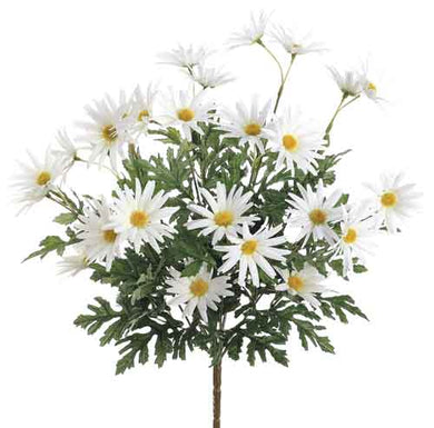 Bouquet de marguerites