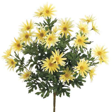 Bouquet de marguerites jaunes