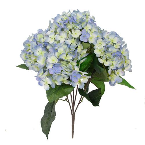 Bouquet d'hydrangée bleu